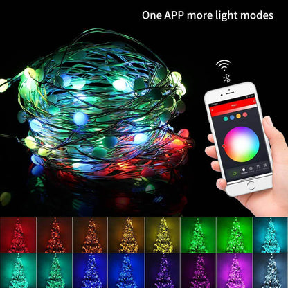 Dreamcolor Smart Fairy Lights