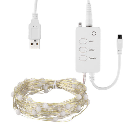 Dreamcolor Smart Fairy Lights