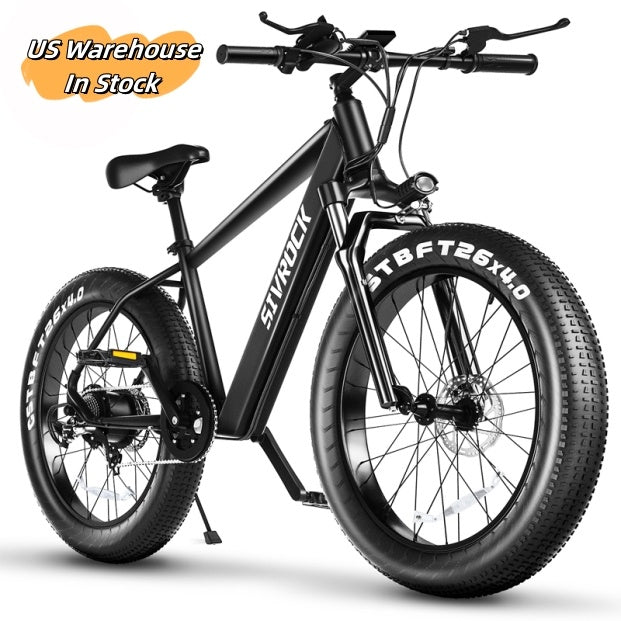 Premium Electric Bike for Adults