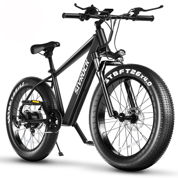 Premium Electric Bike for Adults