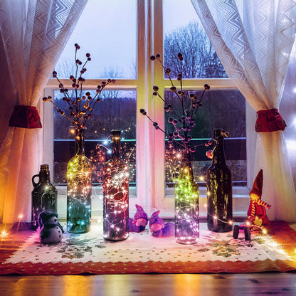 Dreamcolor Smart Fairy Lights