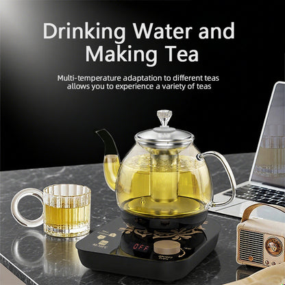 Professional Multi-functional Glass Teapot  800ml Fast Heating Cooking And Brewing Integrated Electric Kettle With Stainless Steel Filter