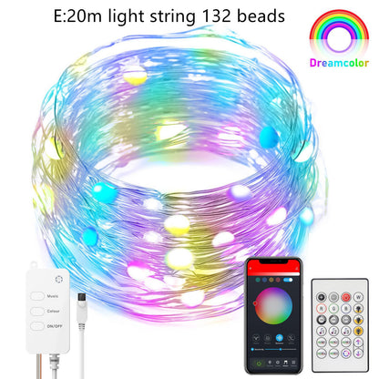 Dreamcolor Smart Fairy Lights